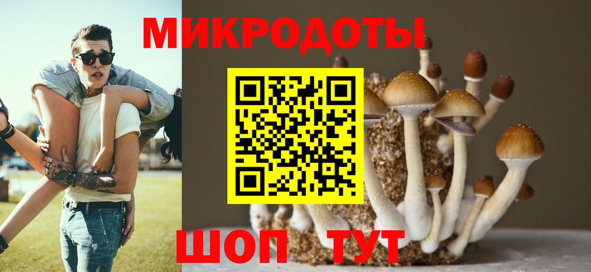 Псилоцибиновые грибы мицелий Борзя